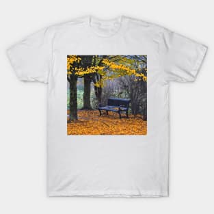 Fall Park Bench T-Shirt